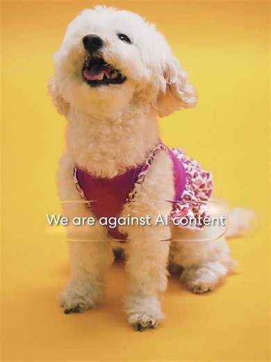 DONT USE AI CONTENT PLEASE ❤️