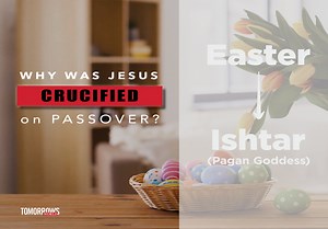 5.6K views · 194 reactions | Can you prove what day Jesus was...