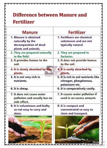 Difference between manure and fertilizers