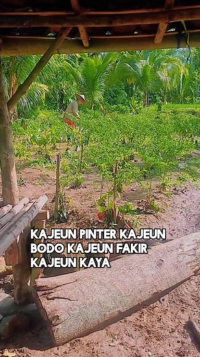 Moal lila anjeun ngumbara dialam dunya Isuk pageto bakal pindah ka alam baka #sunda #herlansyah | Herlan Syah