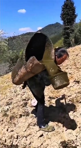 traditional Fertilization techniques|#organicfarming #farming #smartwork #shortvideo