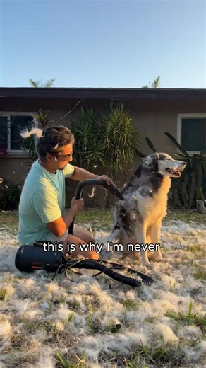 🐾 Stress-Free Grooming, Happier Pets Fur. Everywhere. On the couch, your clothes, even in the car. My dog’s coat was always tangled and itchy, and she kept pawing at herself like she was uncomfortable. Groomers? Expensive, time-consuming, and honestly… they never seemed to finish the job properly. I was right there with you… until I tried the Groomify Perfect Paws Kit. This 7-in-1 kit finally makes grooming easy and actually stress-free. The brushes and combs reach deep to lift loose hair, deta