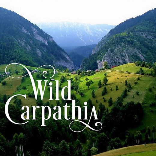 Wild Carpathia - The European Nature Trust