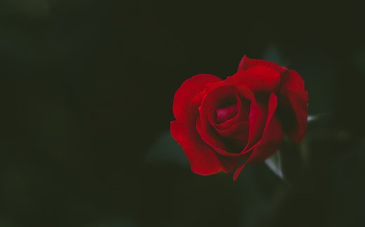 量子近似优化算法QAOA（上）