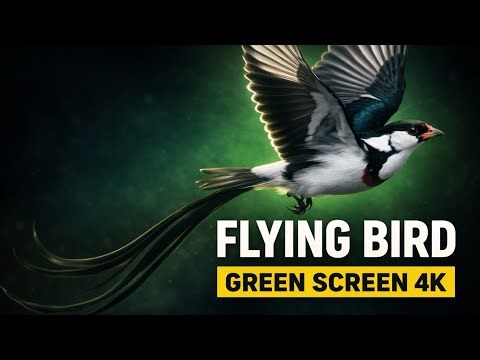 Bird Flight Green Screen | Cinematic VFX for Shorts & Reels | Nature VFX but no copyright 🤯