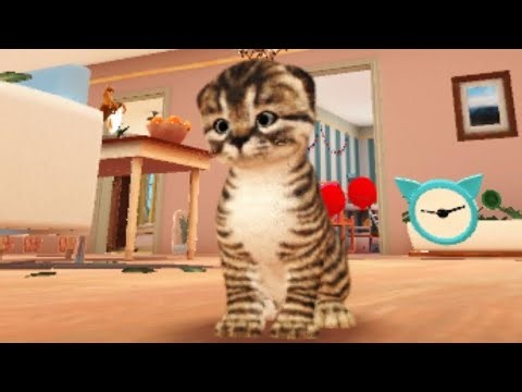 LIVE🛑Cat Simulator 2 Gameplay 🐱 | Realistic Cat Life in Full HD ,