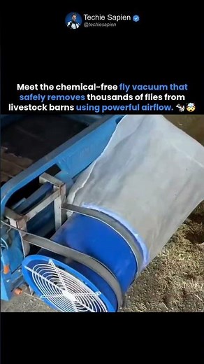 Meet the Chemical-Free Fly Vacuum That Protects Cows Without Using Pesticides 🐄🪰🤯