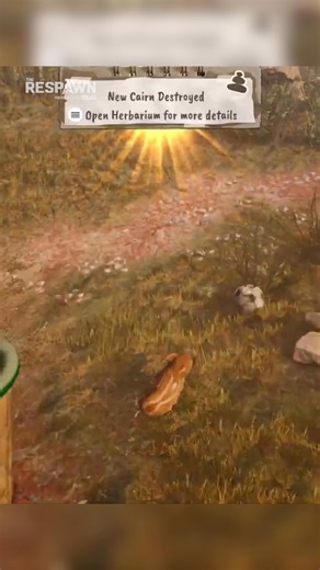 7.1K views · 25 reactions | Adorable Adventures is a cozy third-person exploration game where players guide Boris the baby boar through forests, highlands, and caves as they uncover secrets. #indiegame #gaming #newgame #gameplay | The Respawn | Facebook