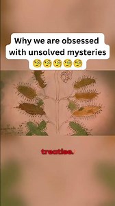 Why we are obsessed with unsolvable mysteries 👽🕵🏻‍♂️