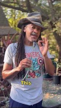 6 Steps to Diagnosing Plant Diseases