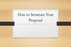 How to Structure the Proposal