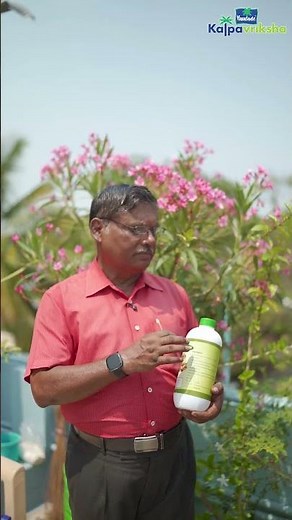 Uses of bio fertilizer