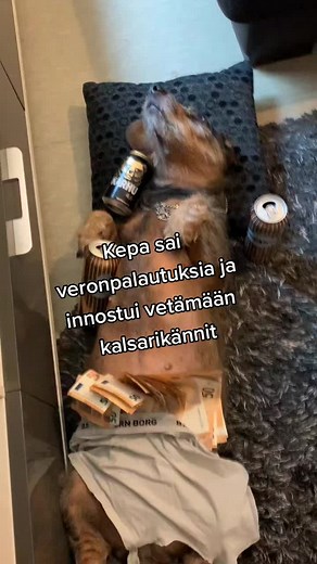 #veronpalautus #kalsarikännit #karhuolut #mäyräkoirakerttu #koirahuumori #batjaryyd
