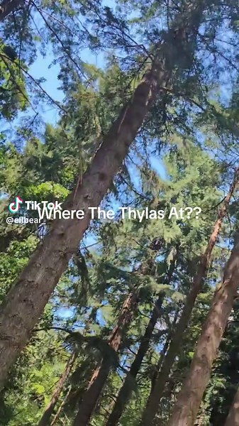 Exploring Thylas in Ark Survival Evolved