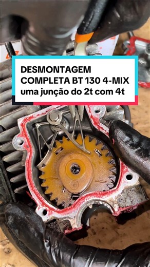 Complete Disassembly of 4-Mix Stihl BT 130 Engine