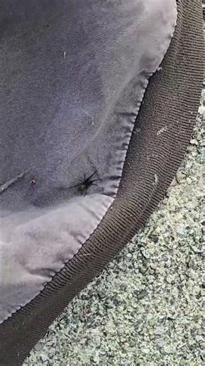 MY ONLY FEAR DRAIN CLEANING #draincleaning