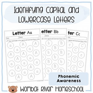 ♡ Identifying & Tracing Capital and Lowercase Letters | Sassoon | Worksheets