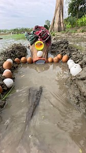 Fishing With Polo Trap #reels | Everyday village vlog