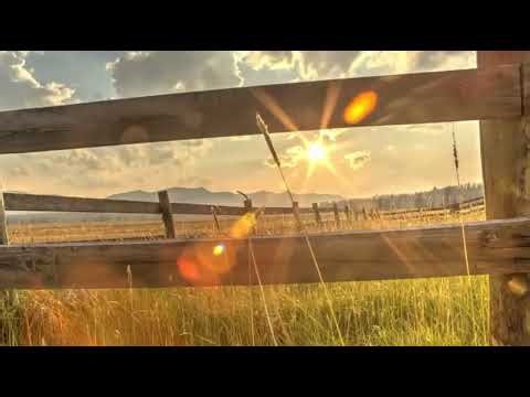 Podcast on Agribusiness management | agriculture | Marketing | @Mrcrazyleast 