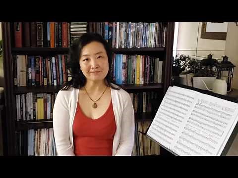 Ševčík Op. 2 School of Bowing Technique (Part 1) - Teacher Recommendation & Demo