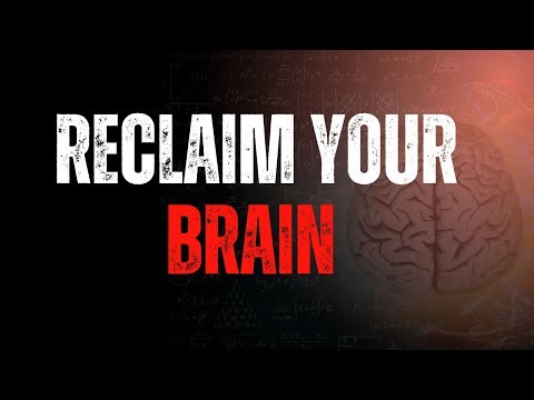 A Neuroscientist’s Guide to Reclaiming Your Brain | Neuroscience Breaks It Down