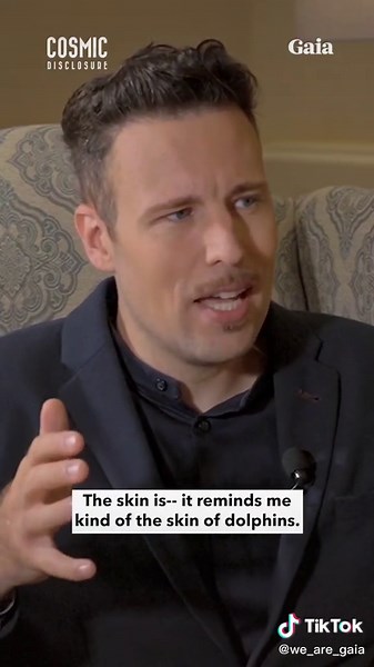 Grey Alien Description and Features Revealed