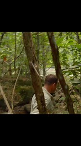 13K views · 250 reactions | Tiger rat snake in the jungles of Suriname. From Expedition this Sunday eve on @bbc2 @bbciplayer | Steve Backshall | Facebook