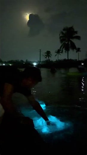 #bioluminescence 🪼The “Tech-Spec” Version *Bioluminescence Specs*🧬 Luciferin + Oxygen