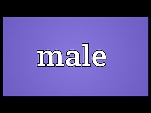 Male Meaning
