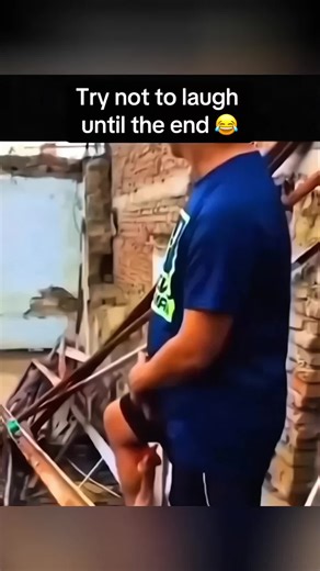 Funny Animals Compilation: Adorable Pets in Action