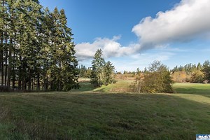 9999 Levig Rd, Port Angeles, WA 98362 - For Sale