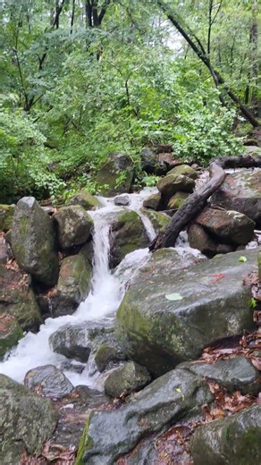 검단산계곡