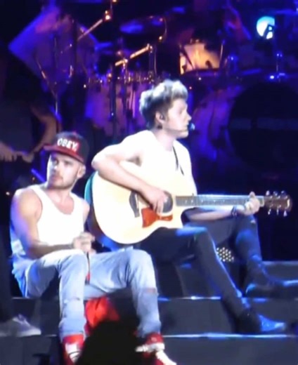 Niall and Harry's Perfect Performance of Little Things