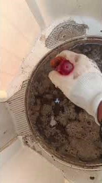 Washing Machine Cleaning Washing Machine Sarvice