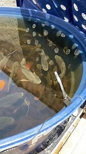 1.7K reactions · 70 shares |  Only Today! Access the complete...