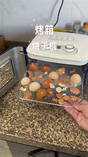 Dog owners must read Make your dog calcium powder with eggshells save several