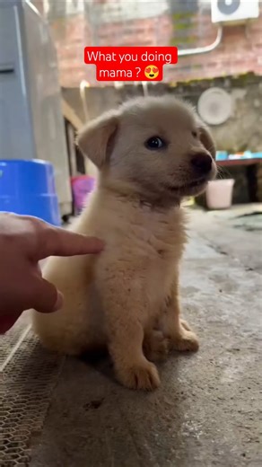 what you doing mama? 😍🎯 subscribe 🫂