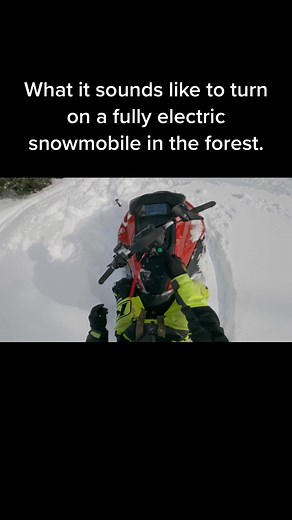 Wild Taiga Snowmobile Start-Up Sound Experience