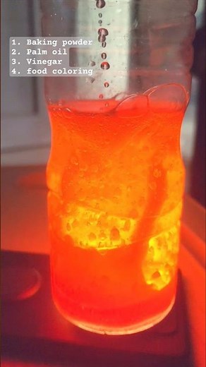 EASY! DIY Lava Lamp | Science Experiment #science #experiment
