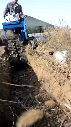 Chain Type Trenching Ditching Machine Multifunctional Orchard Walking Tractor Chain Type Trenching Machine