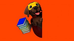 Student, Read, Book, Study