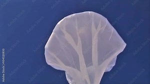 NASA launches an aerostatic weather balloon from McMurdo Station in Antarctica.