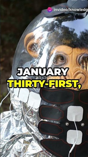 10 Animals That Have Been to Space! 🚀