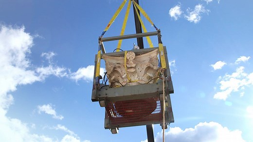 16K views · 339 reactions | See how a team of architects, preservationists, artisans and scholars worked to restore the Rotunda's capitals. Learn more about the Rotunda project at rotunda.virginia.edu. | University of Virginia | Facebook