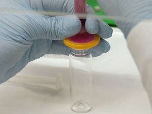 Solid Lipid Nanoparticles SLNs for Intracellular Targeting Applications