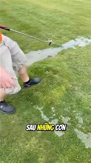 Little known golf course jobs.