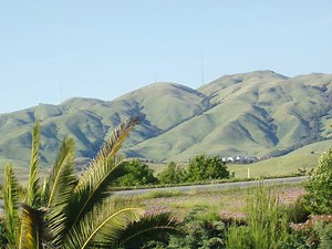 Low Income Apartments for Rent in 95035, Milpitas, CA