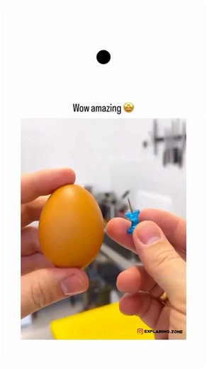 Explaining zone on Instagram: "@bitzcasino The post features a 22-second video of a chef piercing the blunt end of a raw egg with a pin before boiling, preventing shell cracks by releasing air pressure, followed by easy peeling. With only "Oo" as text, it has sparked 431 Indonesian replies expressing surprise, like "baru tau deh" (I just found out), highlighting its novelty in that community. - This hack aligns with culinary advice from sources like Lifehacker and Stack Exchange, which note it m
