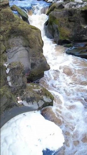 The Strid The Most Dangerous Stretch of River In The UK Bolton Abbey Walking Tour Yorkshire Dales