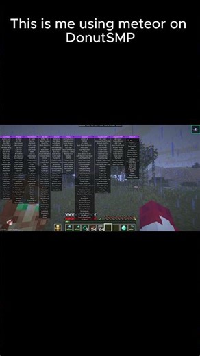 Undetected Meteor Client on donutsmp #minecraft
